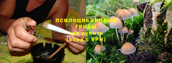 mdpv Осинники