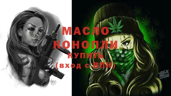 гашик Няндома